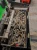 Cesab_4.webp