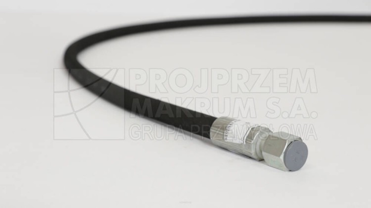 big_900A2102.jpg