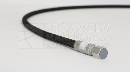 big_900A2102.jpg