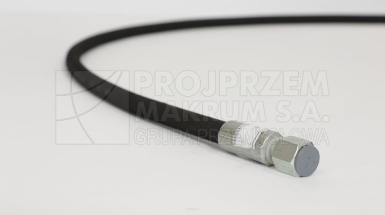 big_900A2102.jpg